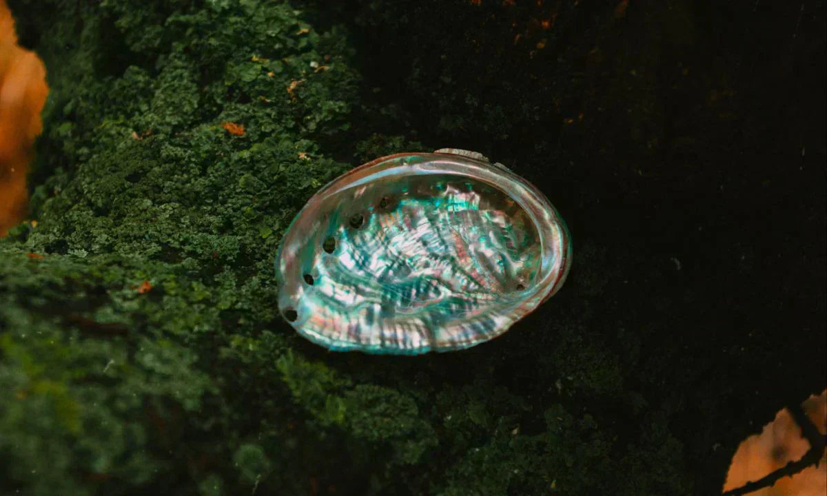 mother-of-pearl