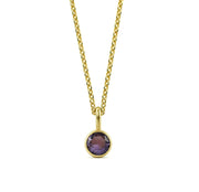 This February birthstone necklace features a rich purple amethyst set in a dainty pendant necklace for women.

