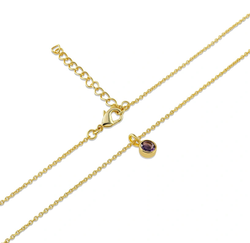 A beautiful amethyst pendant necklace designed to celebrate February birthdays with elegance and charm.

