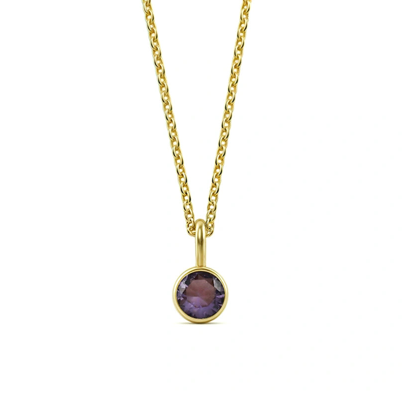 This February birthstone necklace features a rich purple amethyst set in a dainty pendant necklace for women.

